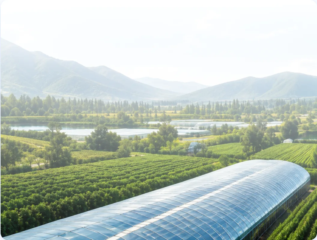 Greenhouses and terraced fields in an export growing region
